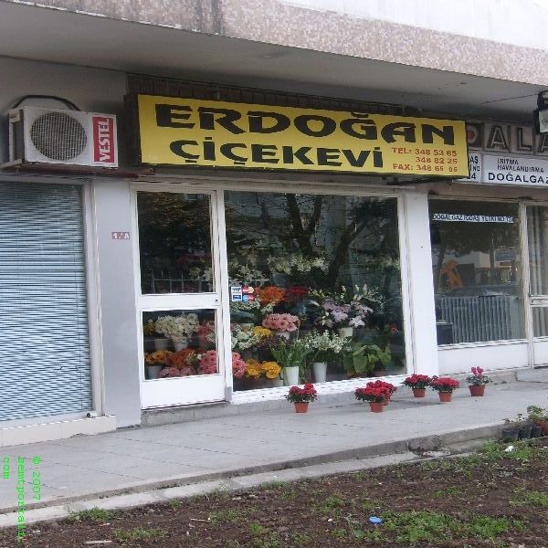 Tıklayın